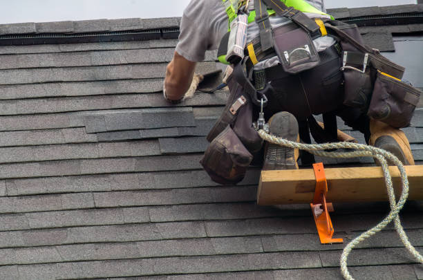 Professional Roofing Contractor in Madison Lake, MN
