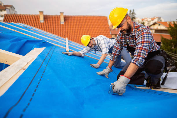 Best Metal Roofing Contractor  in Madison Lake, MN