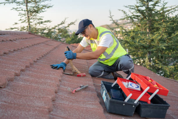 Best Roof Gutter Cleaning  in Madison Lake, MN