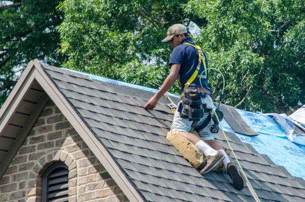 Roof Gutter Cleaning in Madison Lake, MN